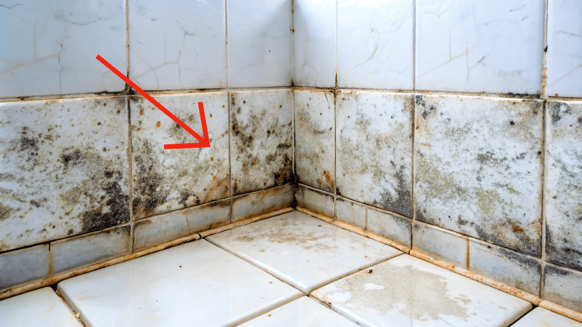 Je to účinnější než bělidlo, ale skoro nikdo o tom neví… Použití „tohohle“ doma úplně odstraní plíseň v koupelně