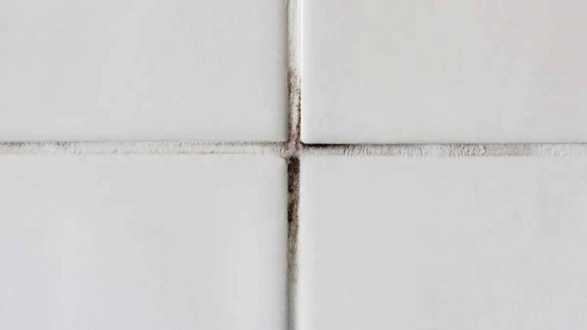 Spáry mezi dlaždicemi jsou stejně bílé a lesklé jako na začátku: čisticí prostředek, který je okamžitě zanechá bezchybné