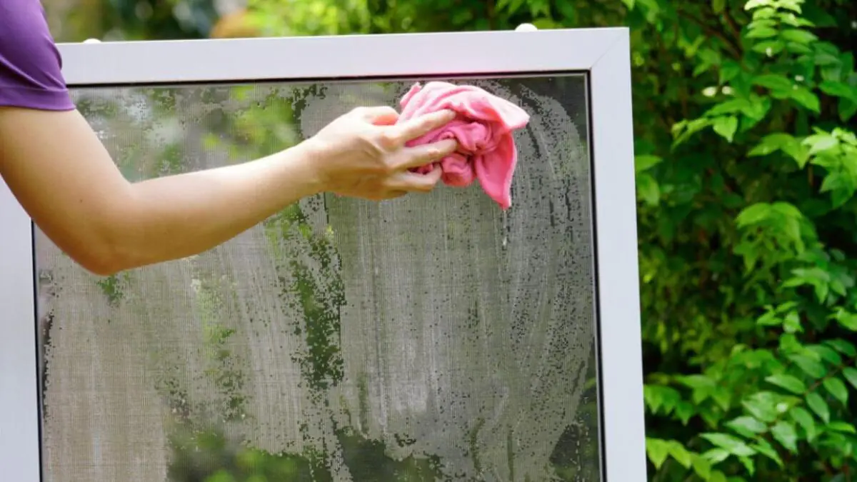 Proti hmyzu bez námahy: síť proti hmyzu nemusíte sundávat, stačí dva jednoduché pomocníky a bude čistá