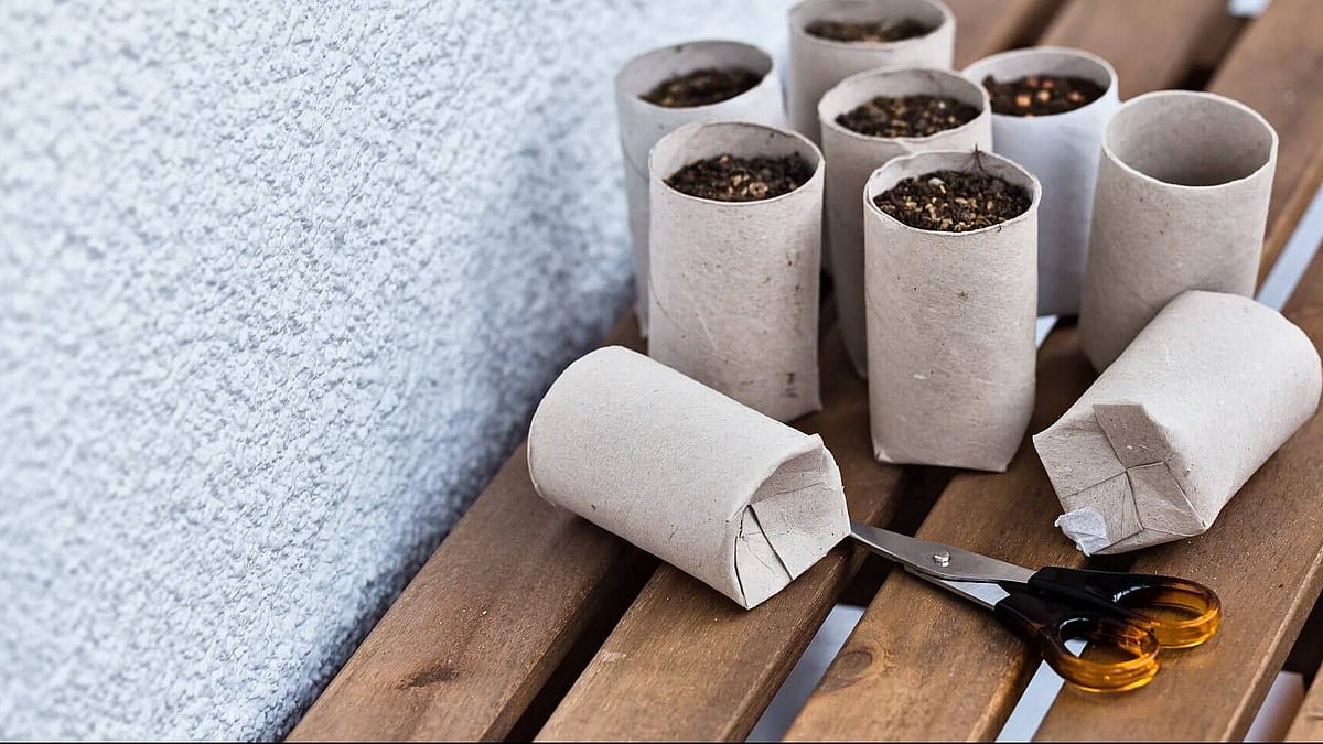 Ruličky od toaletního papíru nevyhazuji, ale střežím je jako oko v hlavě: 3 způsoby, jak je využít doma — trik, který se už dávno uchytil i v českých bytech