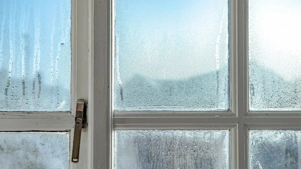 Levný trik proti kondenzaci na oknech v českých domácnostech stojí pár korun a může konkurovat odvlhčovači