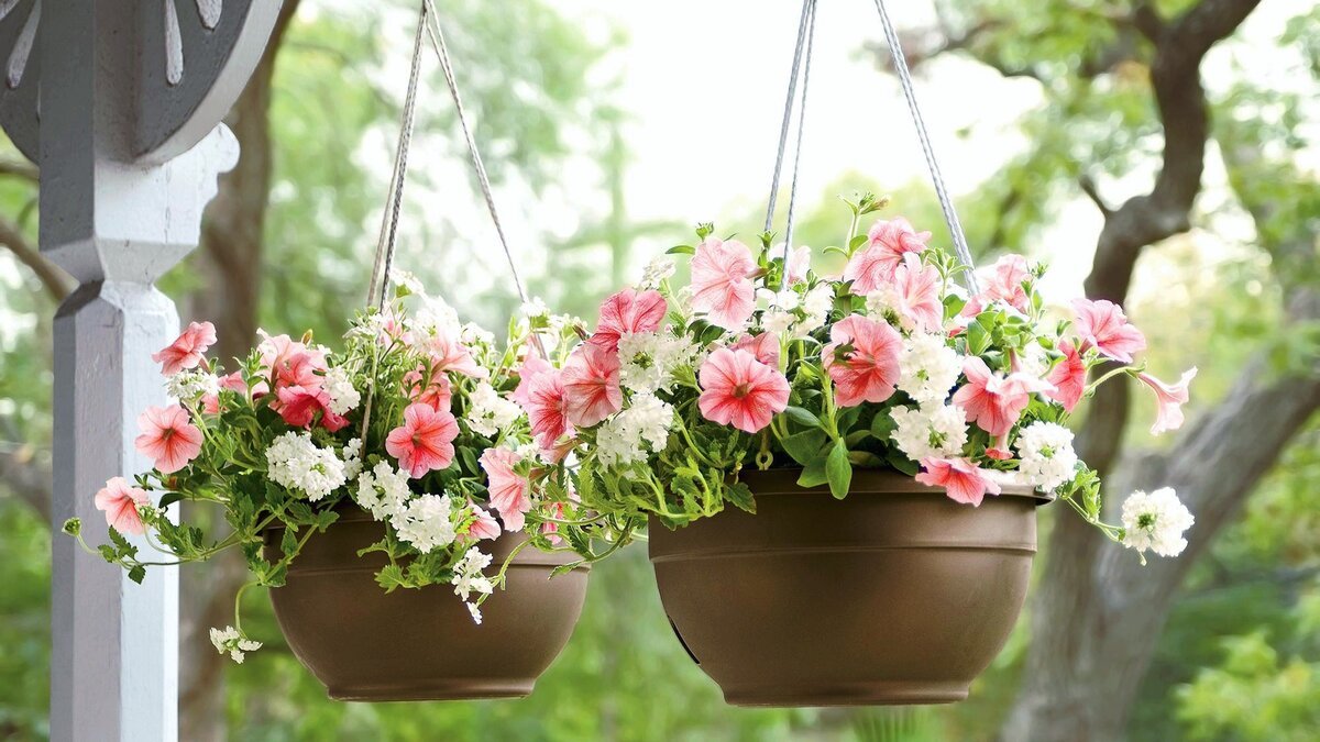 8 nápadů na mini zahrádku na terase s úspornými závěsnými květináči jako zelené řešení pro omezený prostor