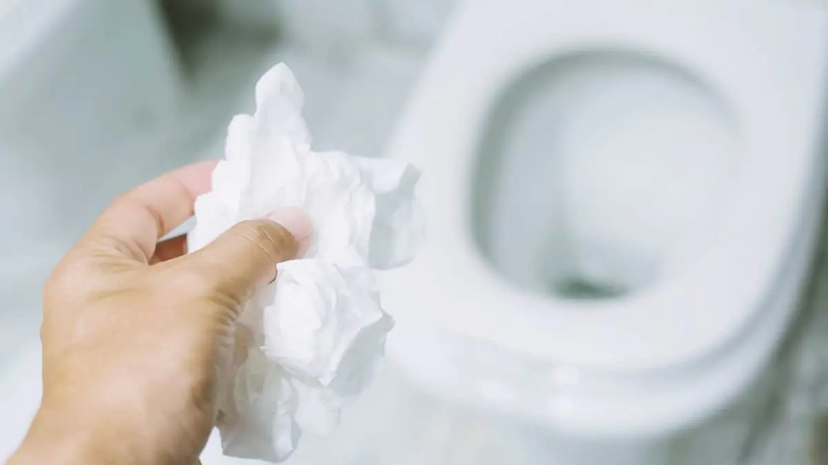 Mnozí nevědí, proč by se nemělo utírat víko toalety toaletním papírem