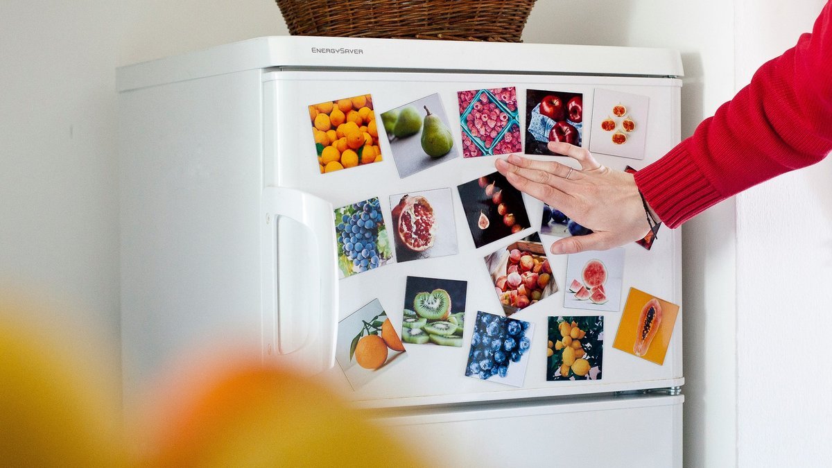 Mohou magnetky na lednici zvýšit účet za elektřinu Čeští odborníci dávají jasnou odpověď