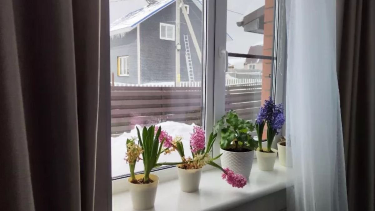 Na okna nic nelepím a topení nezapínám. Vzala jsem si příklad od seveřanů a doma je teplo i v krutých mrazech