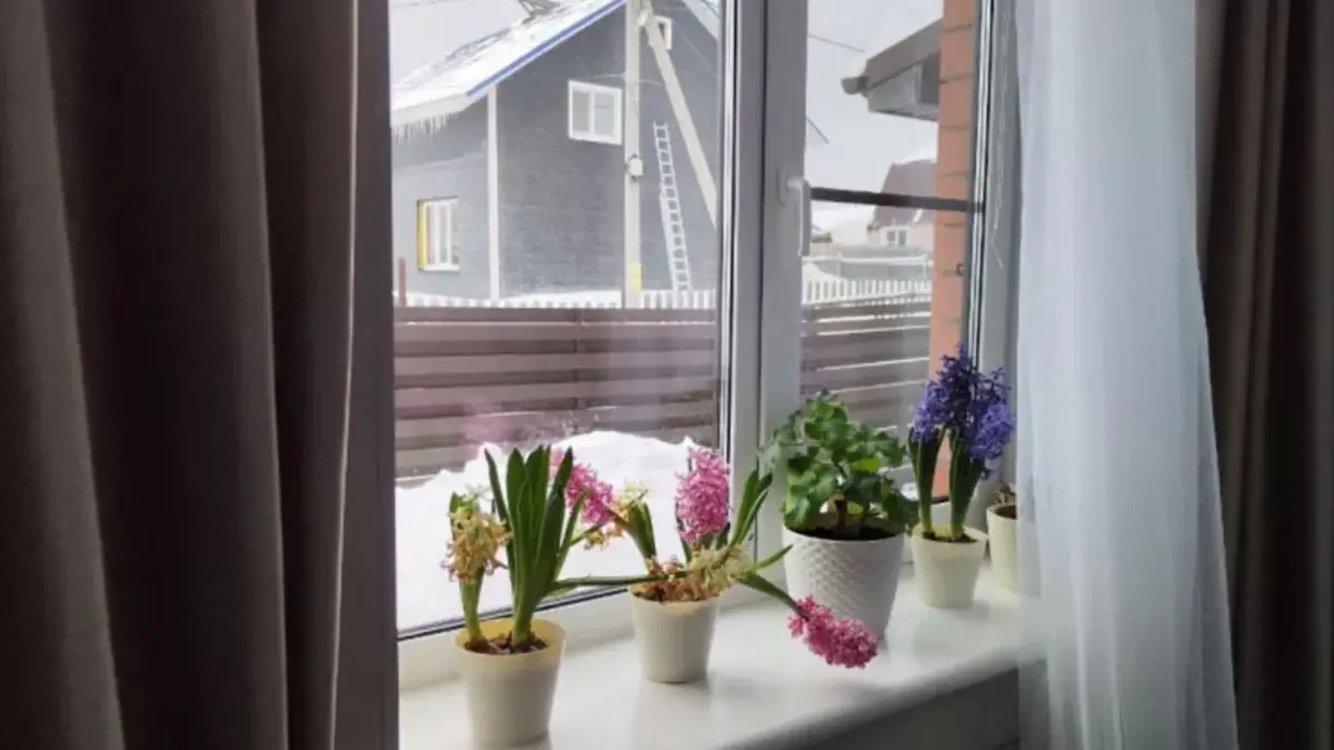 Na okna nic nelepím a topení nezapínám. Vzala jsem si příklad od seveřanů a doma je teplo i v krutých mrazech