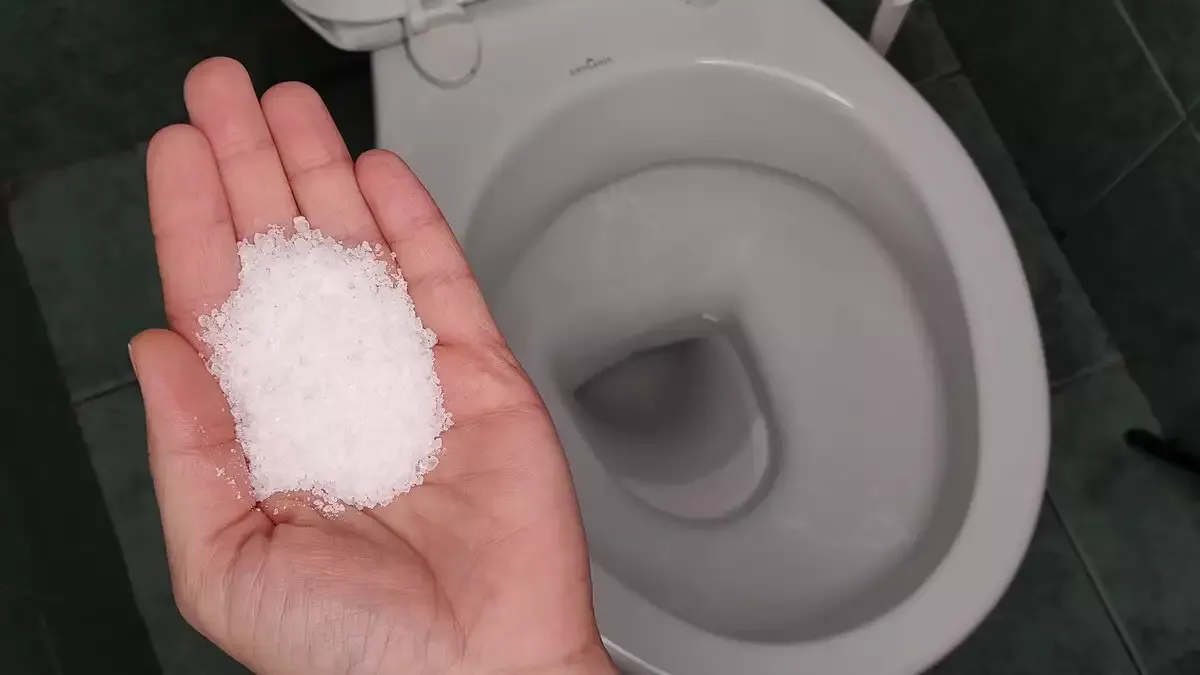 Ne ocet ani kola: v českých domácnostech používají levný prostředek, který skvěle vyčistí toaletu