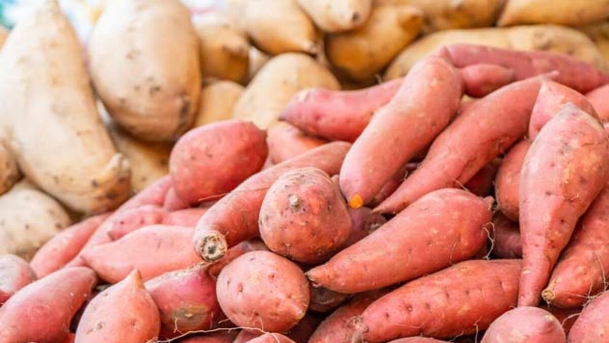 Batat vs. brambory: je batát opravdu zdravější, nebo si to jen myslíme?