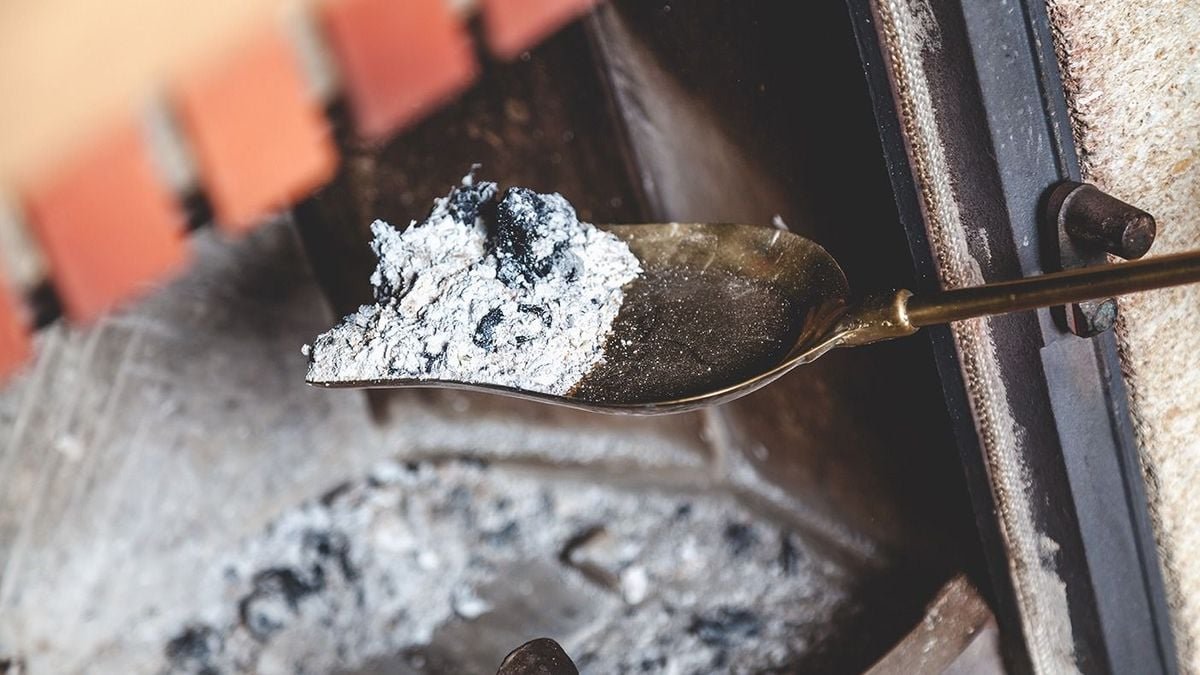 Nespěchejte vyhazovat: takto všestranně lze dřevěný popel využít v domácnosti