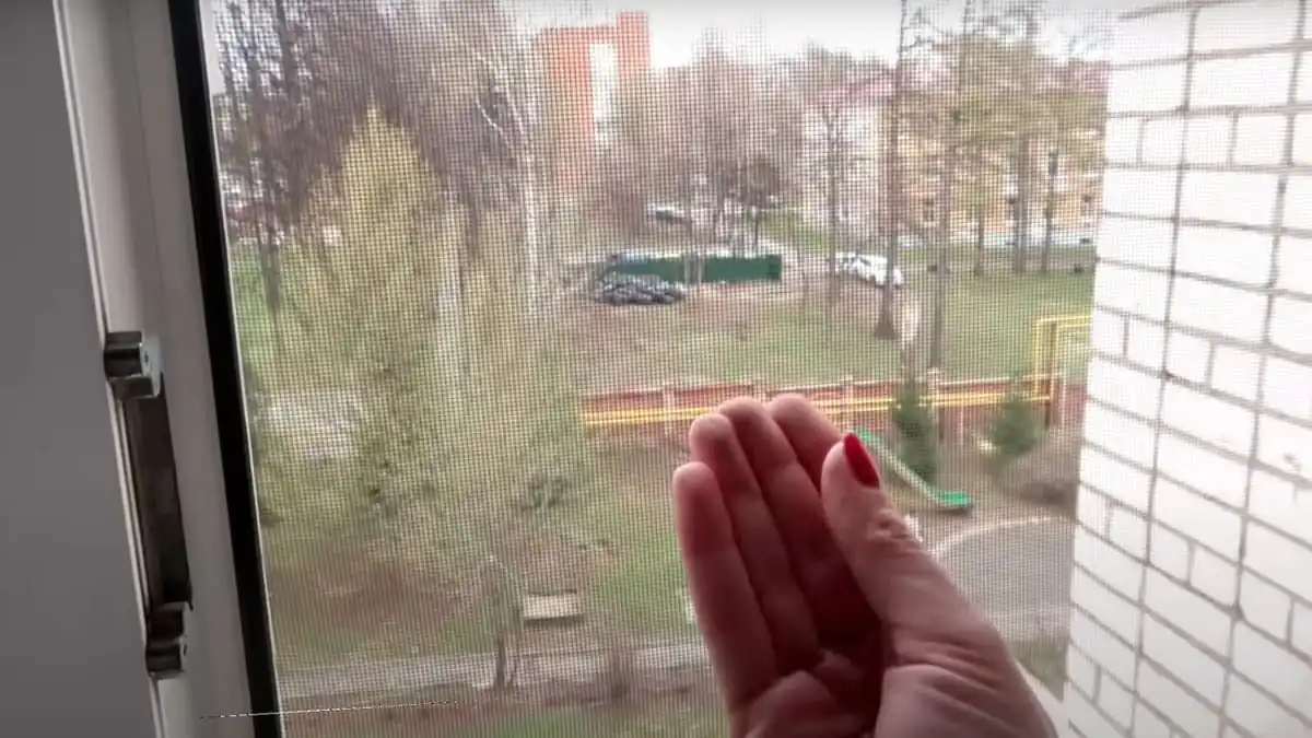 Užitečný tip na mytí síťky proti hmyzu: nemusíte ji sundávat ani se s tím trápit. Odborníci radí použít jen 2 věci — čistota bez námahy!