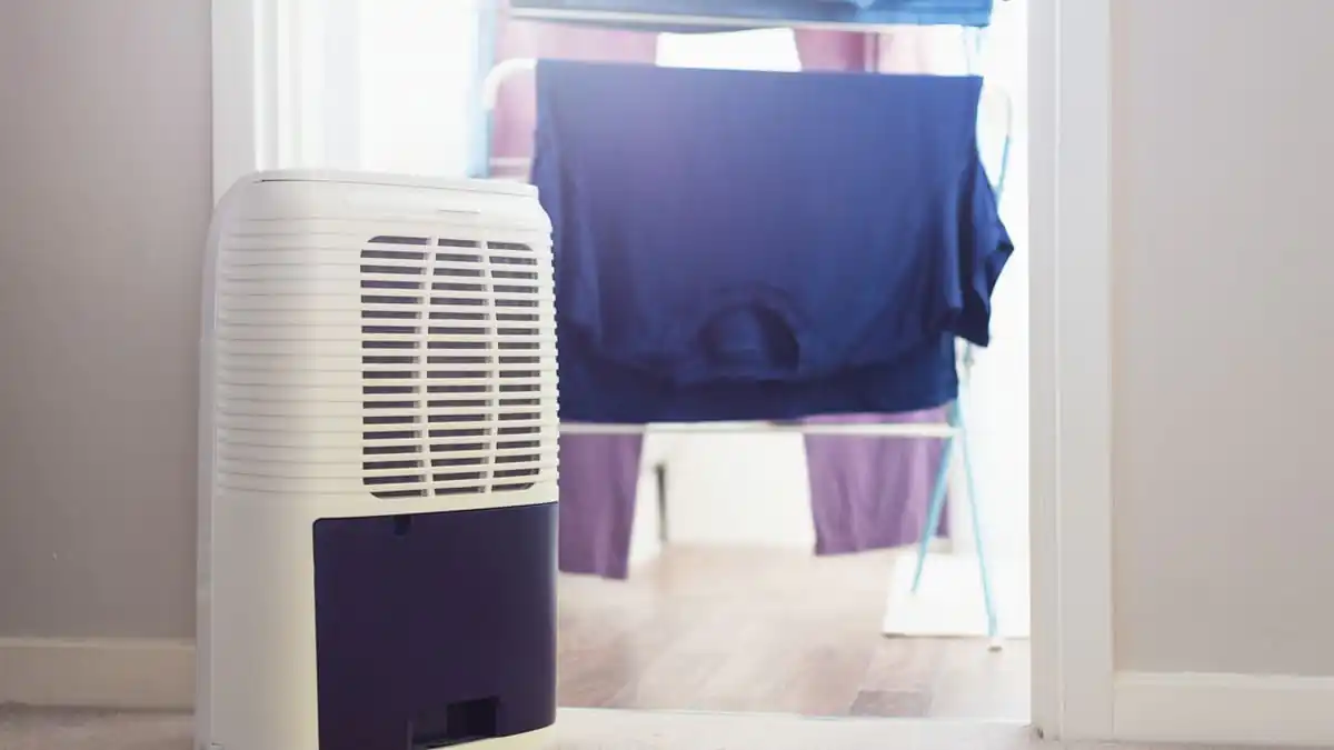 Odvlhčovač vzduchu není jen na sušení prádla! Výrobce doporučuje „jedno místo k umístění“, které pomáhá odstranit vlhkost a plísně v domácnosti