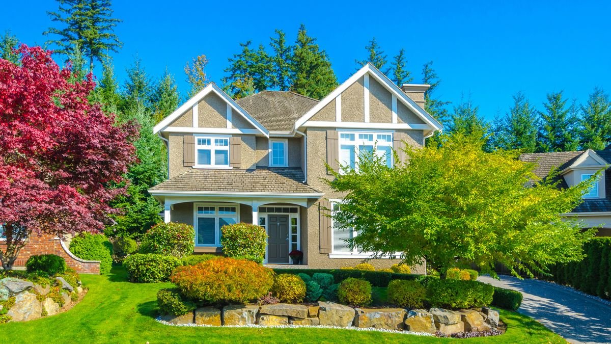 Pět stromů, které byste v Česku neměli sázet blízko domu, protože mohou způsobit problémy s infrastrukturou