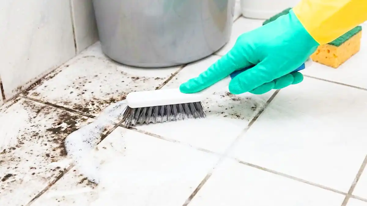 „Zkuste to použít místo chloru“… Četnost návratu plísně v koupelnách výrazně klesá