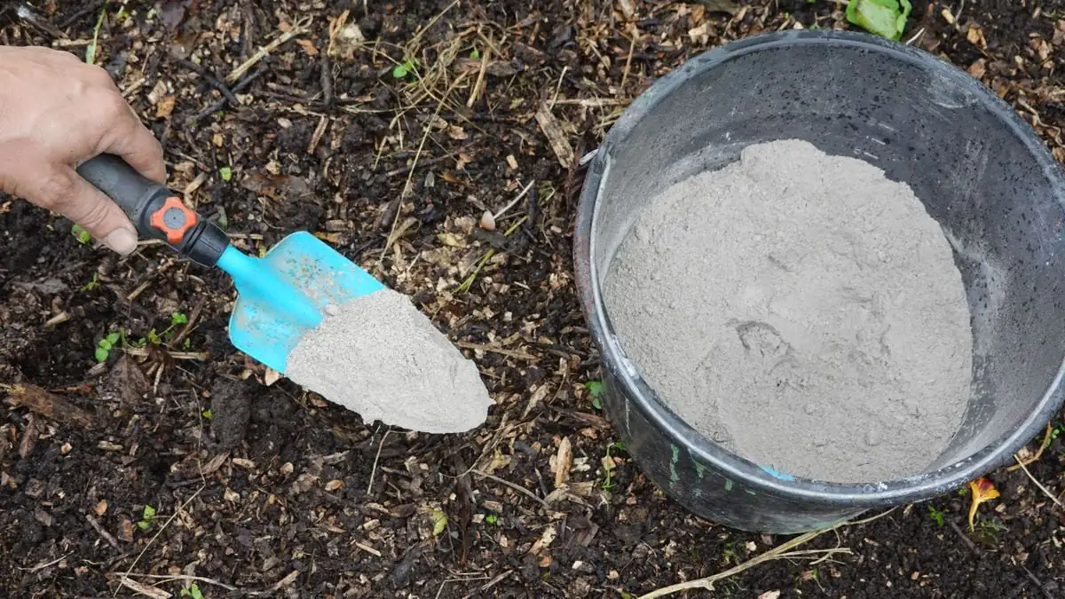 Popel na zahradě co je dobré vědět než ho rozsypete v českých podmínkách