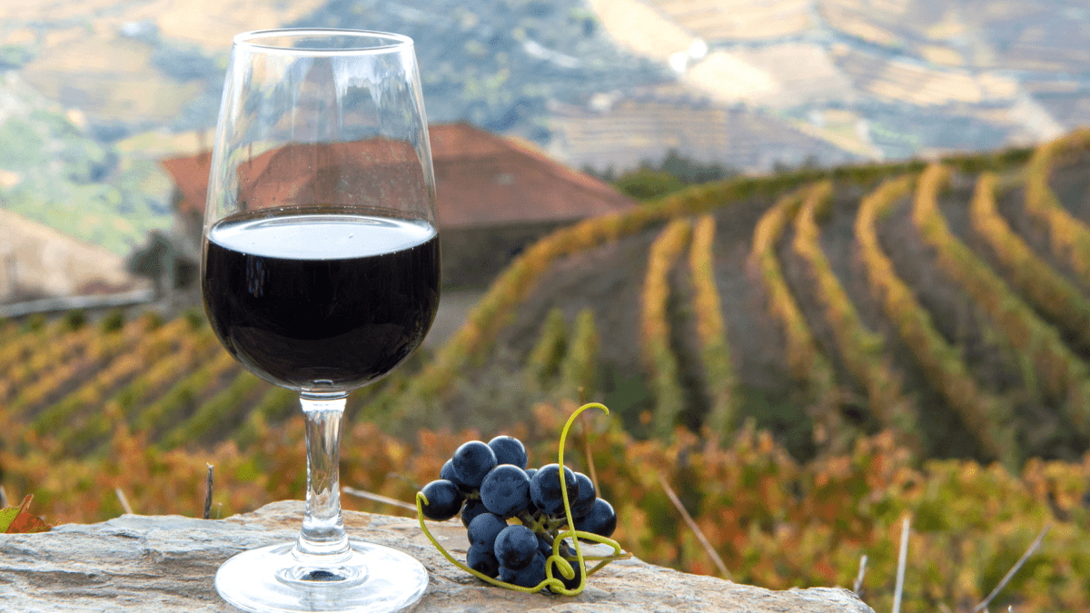 Portské je jedním z nejcennějších vín na světě Proč je tak výjimečné a jak ho pít