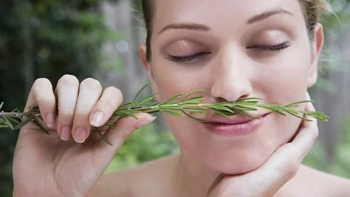 Představujeme 6 voňavých rostlin ideálních pro dekoraci domova: vytváříme teplou a příjemnou atmosféru