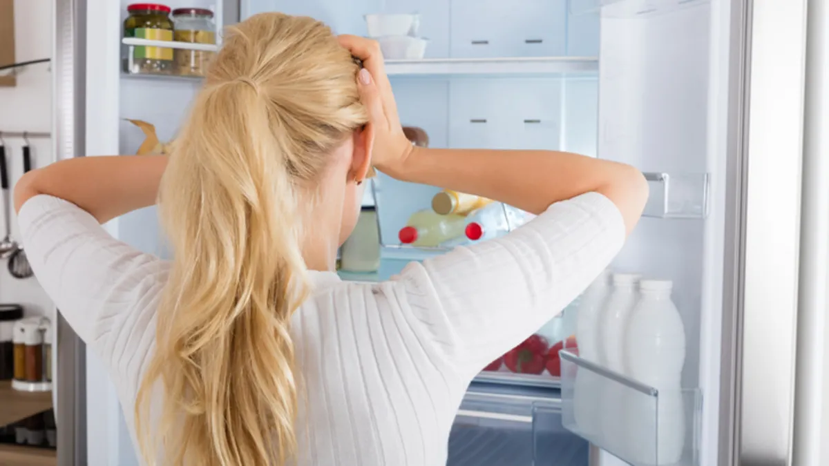 Výbuch lednice si vyžádal tři oběti Proč může lednice vybuchnout a jak se chránit Co je dobré vědět i v českých domácnostech