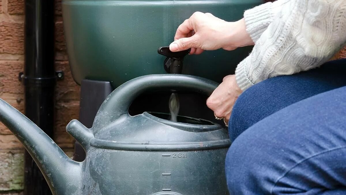 Jak ochránit sud na sběr dešťové vody před mrazem: nejlepší a nejjednodušší trik zahrádkářů