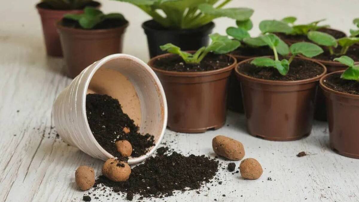 Proč je otvor na dně květináče tak důležitý pro zdraví rostlin