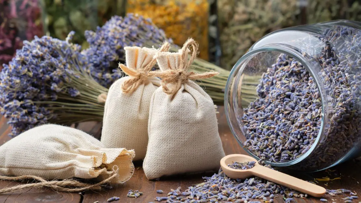 Kde doma mít sklenici s rýží a levandulí a proč se to doporučuje