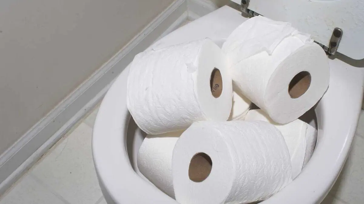 Mnozí nevědí, proč by se nemělo utírat víko toalety toaletním papírem