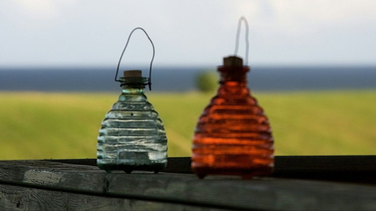 Proč tuto zimu stále více starších lidí nechává na zahradě obyčejnou plastovou láhev