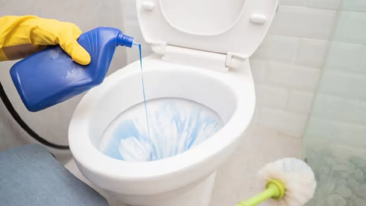 Dokonale čistá toaleta: jak jednou provždy odstranit močový kámen