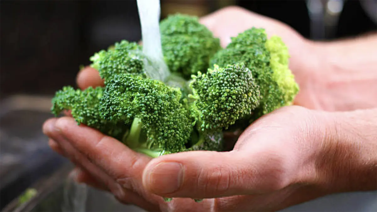 Brokolici není nutné mýt v sodě ani ve slané vodě Jeden jednoduchý postup skutečně odstraní nečistoty i zbytky pesticidů