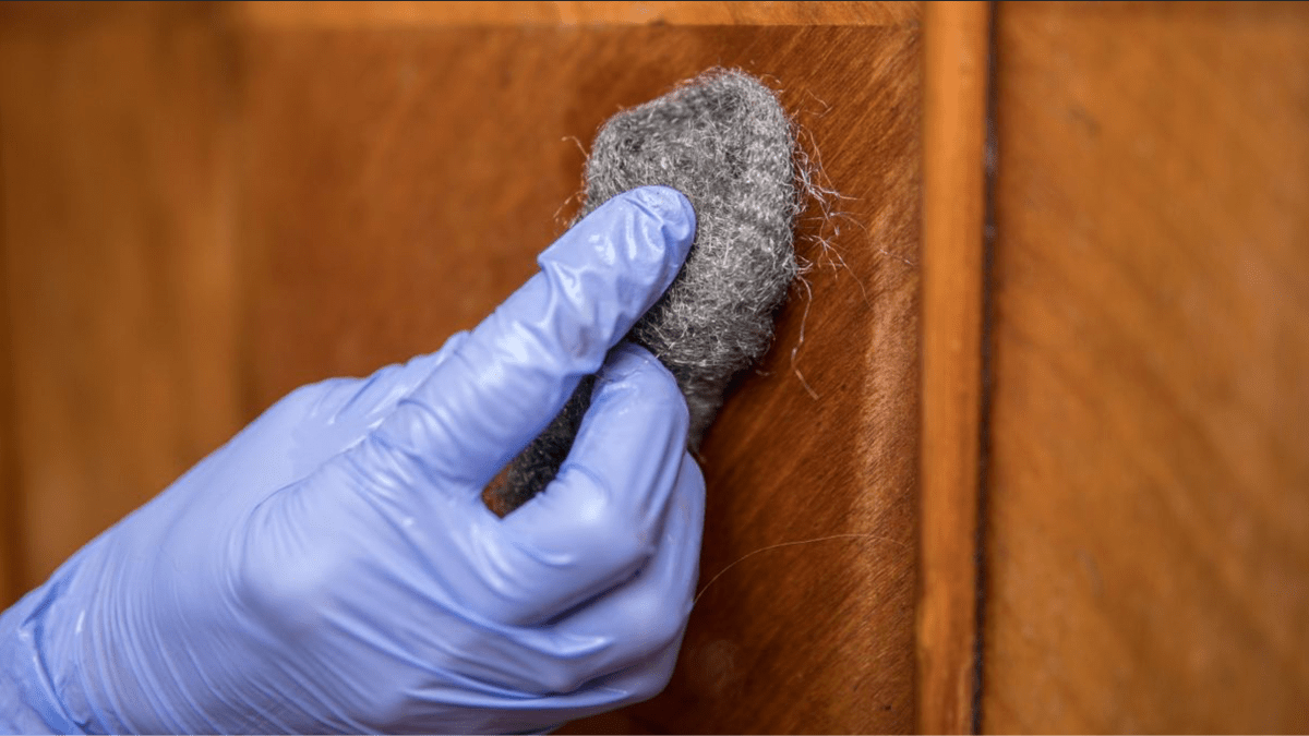 Krysy a myši se budou domům vyhýbat, když každý den uděláte rychlý 60sekundový úkol