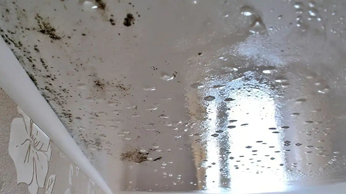 Vidíte to u sebe doma, máte problém 2 Vidíte to u sebe doma, máte problém