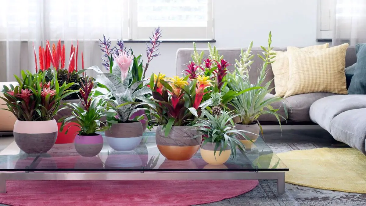 techto 7 barev osvezi vas domov bez rekonstrukce skutecny dopad barevnych trendu pro rok 2026