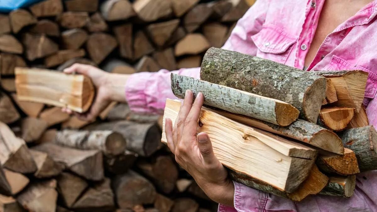 Topení dřevem zápach který v českých domácnostech mnozí považují za normální ve skutečnosti prozrazuje problém a dá se vyřešit jednoduchými kroky