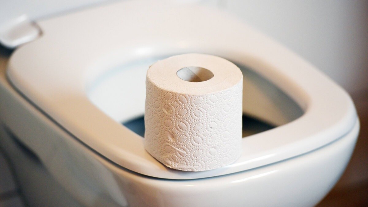 Tualetní papír splachovat do záchodu, nebo vyhazovat do koše? Instalatér: pokud je dům starší než tento věk, raději do koše