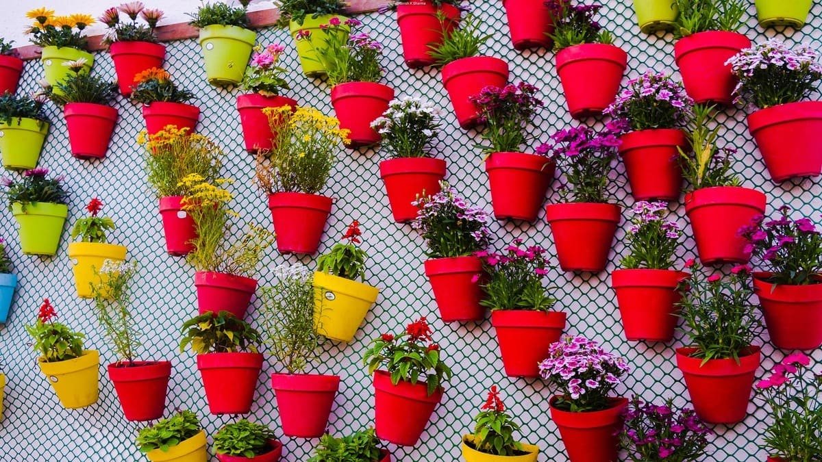 V domácnosti je má téměř každý. Brzy budou zakázány