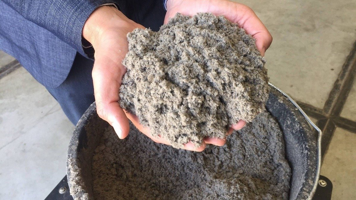 Ani sůl, ani písek: čím je nejlepší sypat cestičky při náledí