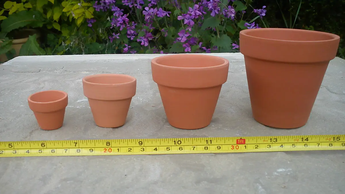 Proč je otvor na dně květináče tak důležitý pro zdraví rostlin