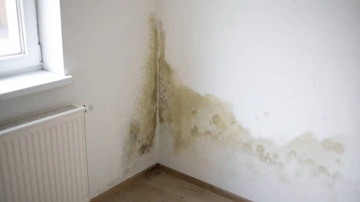 Vidíte to u sebe doma, máte problém 3 Vidíte to u sebe doma, máte problém