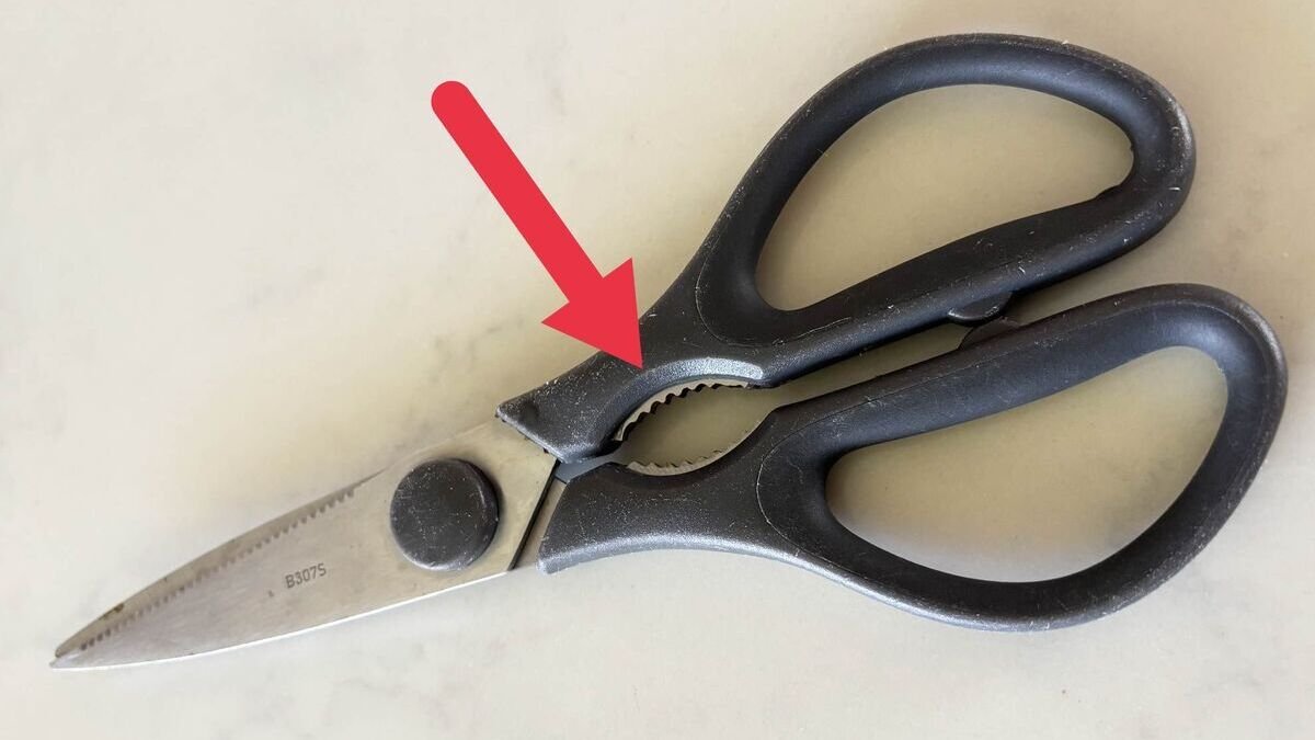„Neměl jsem tušení“ lidé teprve teď zjišťují, k čemu slouží tahle část kuchyňských nůžek