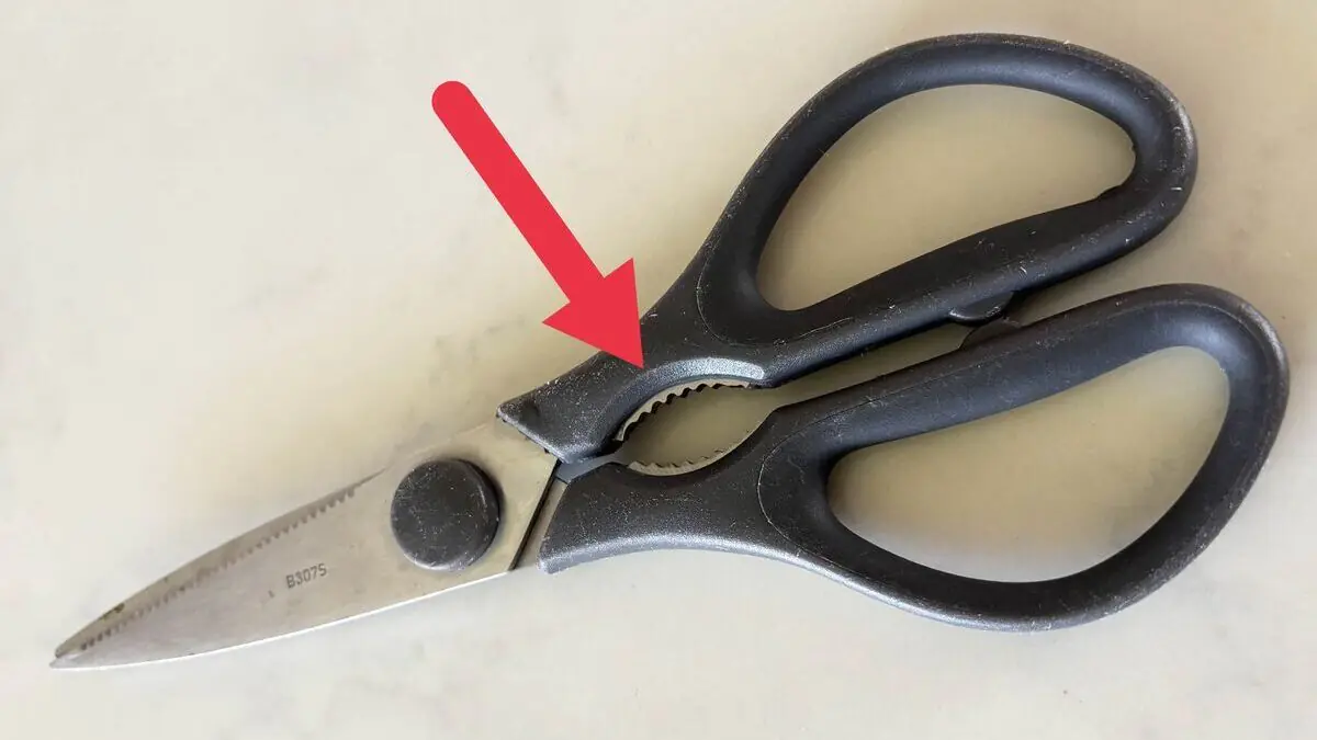 „Neměl jsem tušení“ lidé teprve teď zjišťují, k čemu slouží tahle část kuchyňských nůžek