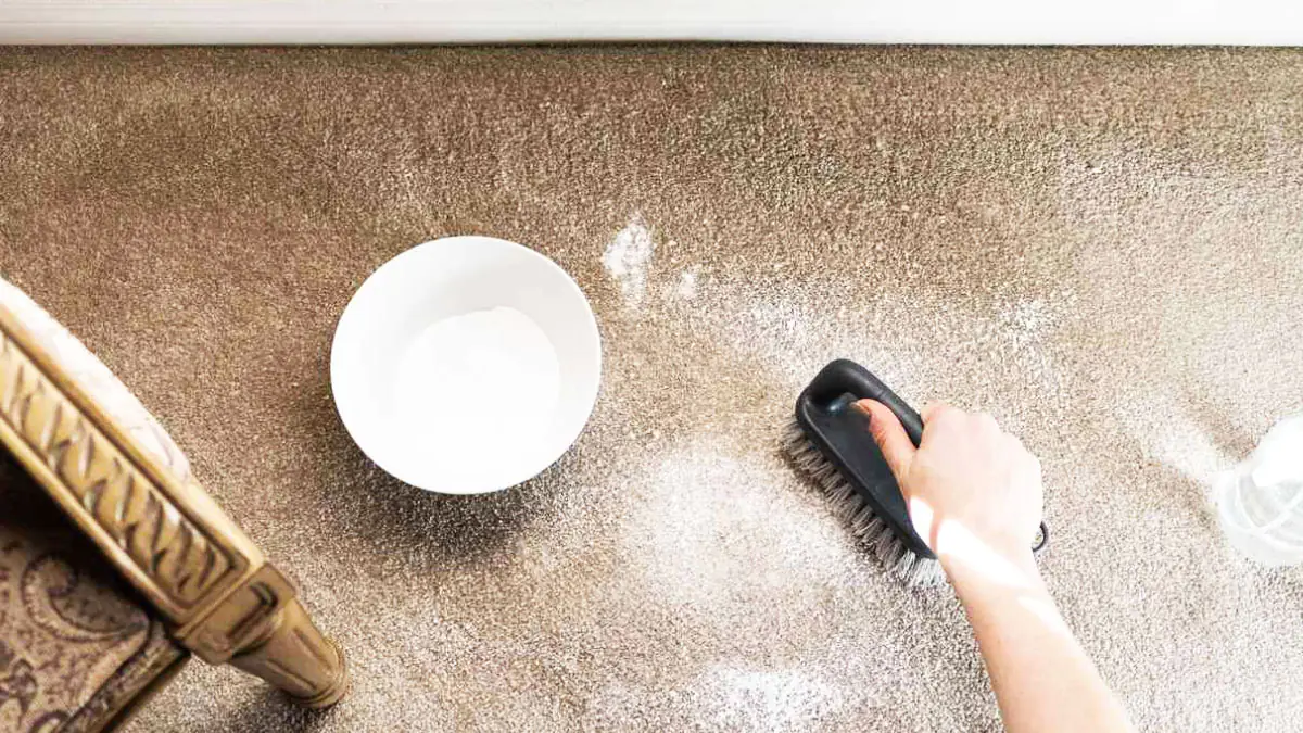 Pět ekologických, ale účinných způsobů, jak odstranit nepříjemné pachy v domácnosti