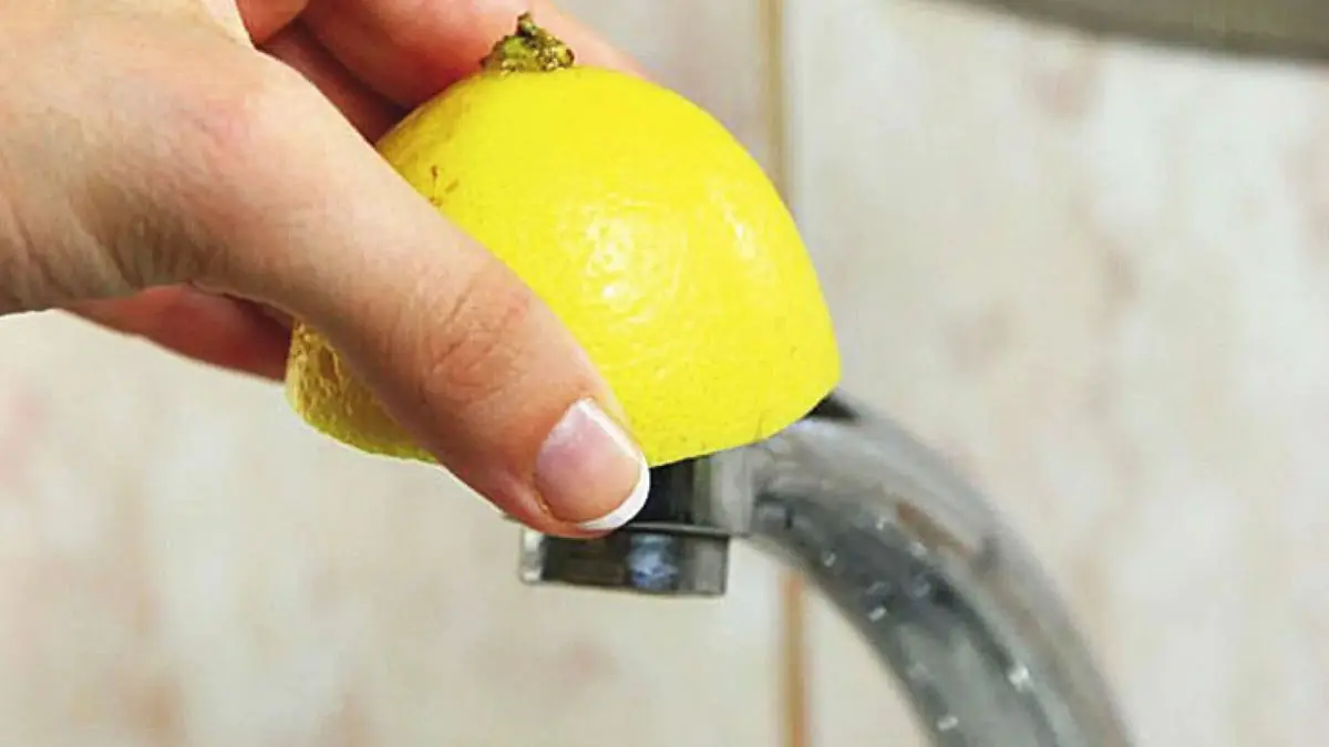 Potřete kohoutek citronem před spaním – jaké jsou jeho výhody