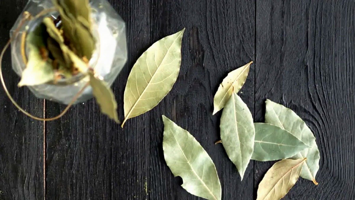 Míchání bobkového listu a jedlé sody: proč se doporučuje a k čemu slouží