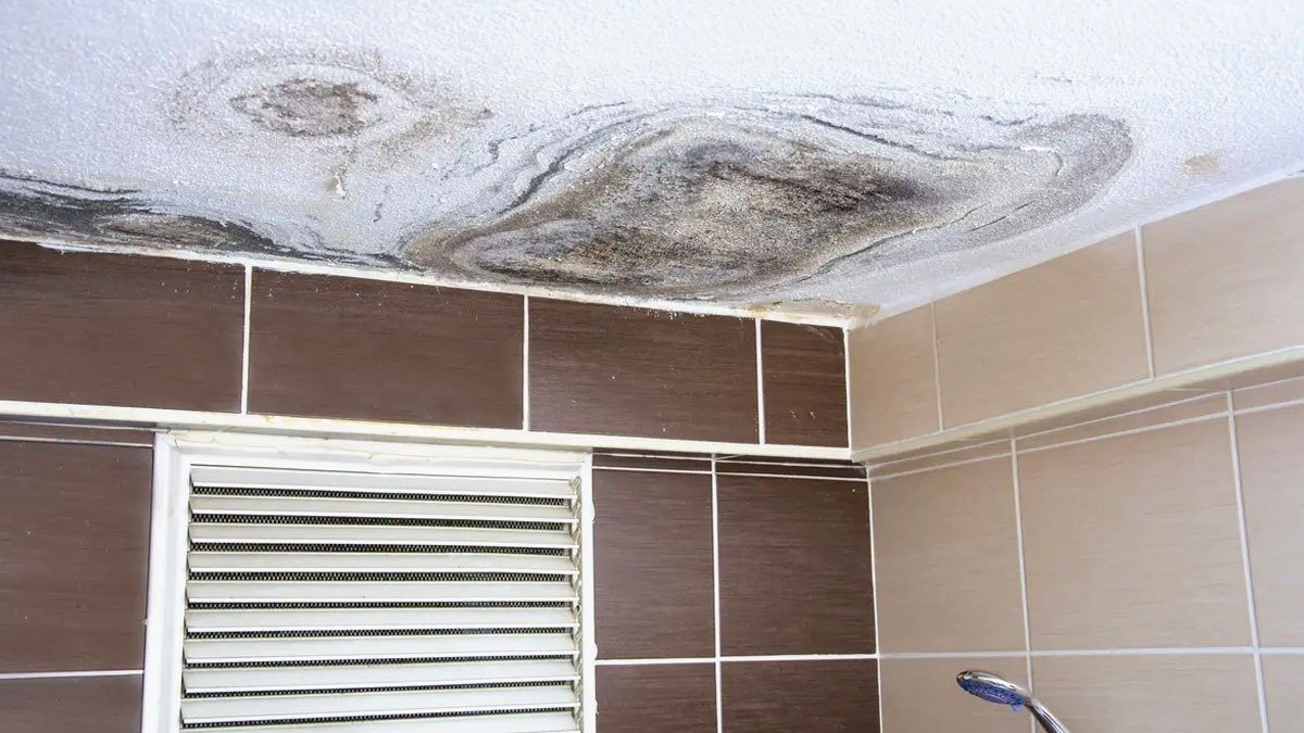 Jak přirozeně odstranit zápach vlhkosti z koupelny bez chemických prostředků