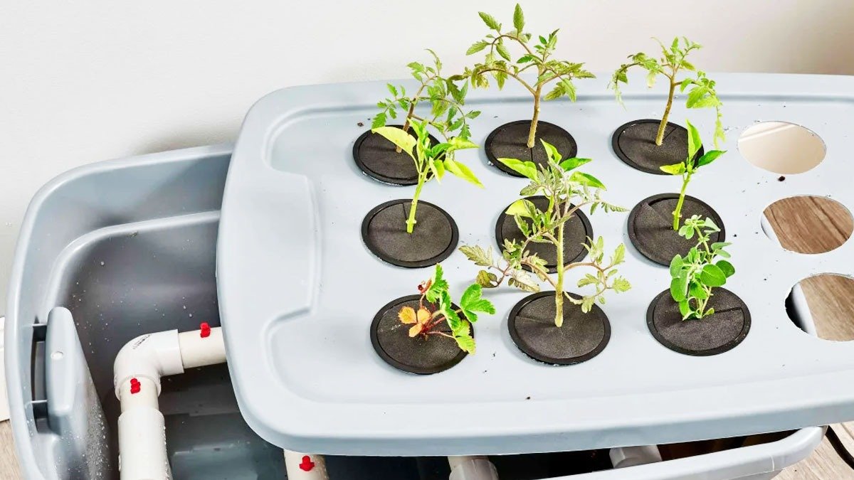 9 nápadů na minimalistické zahrádky bez půdy s hydrotonem vhodné do úzkých prostor