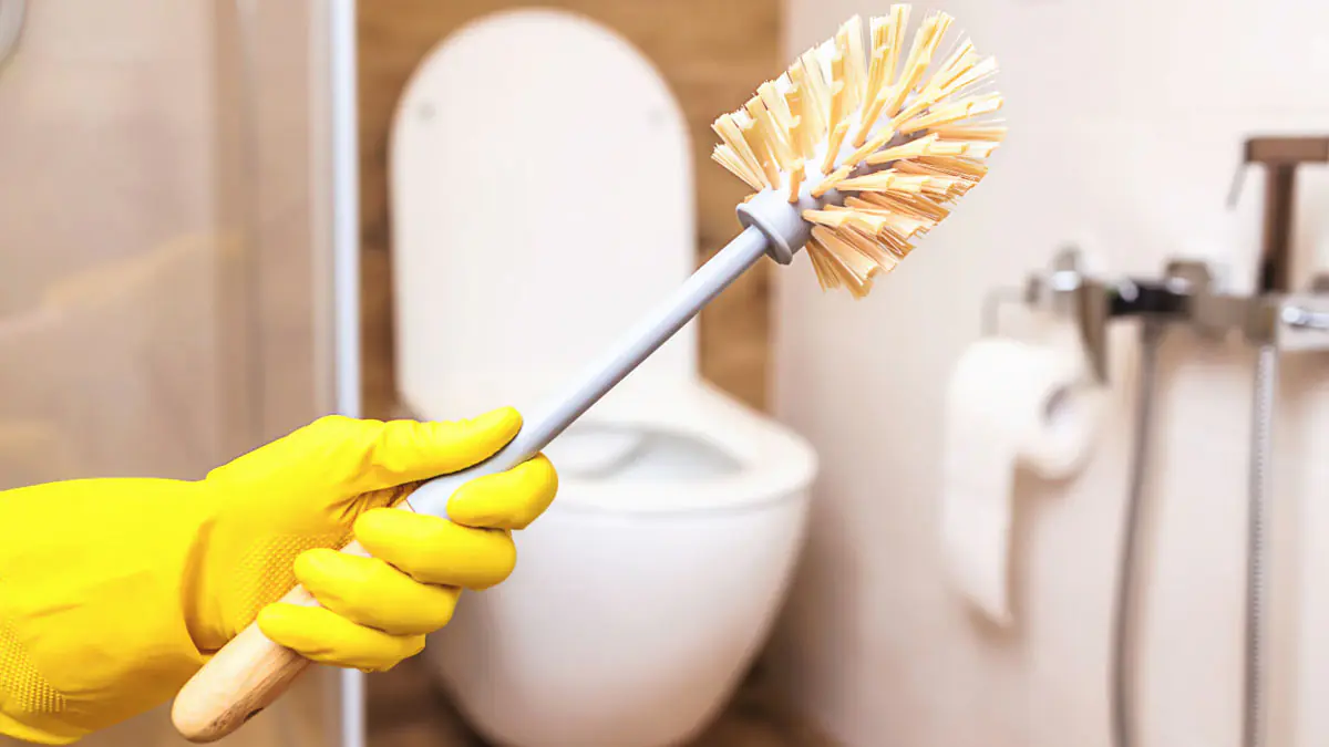 Čistá toaleta: domácí prostředek pomůže proti zažloutlému WC sedátku