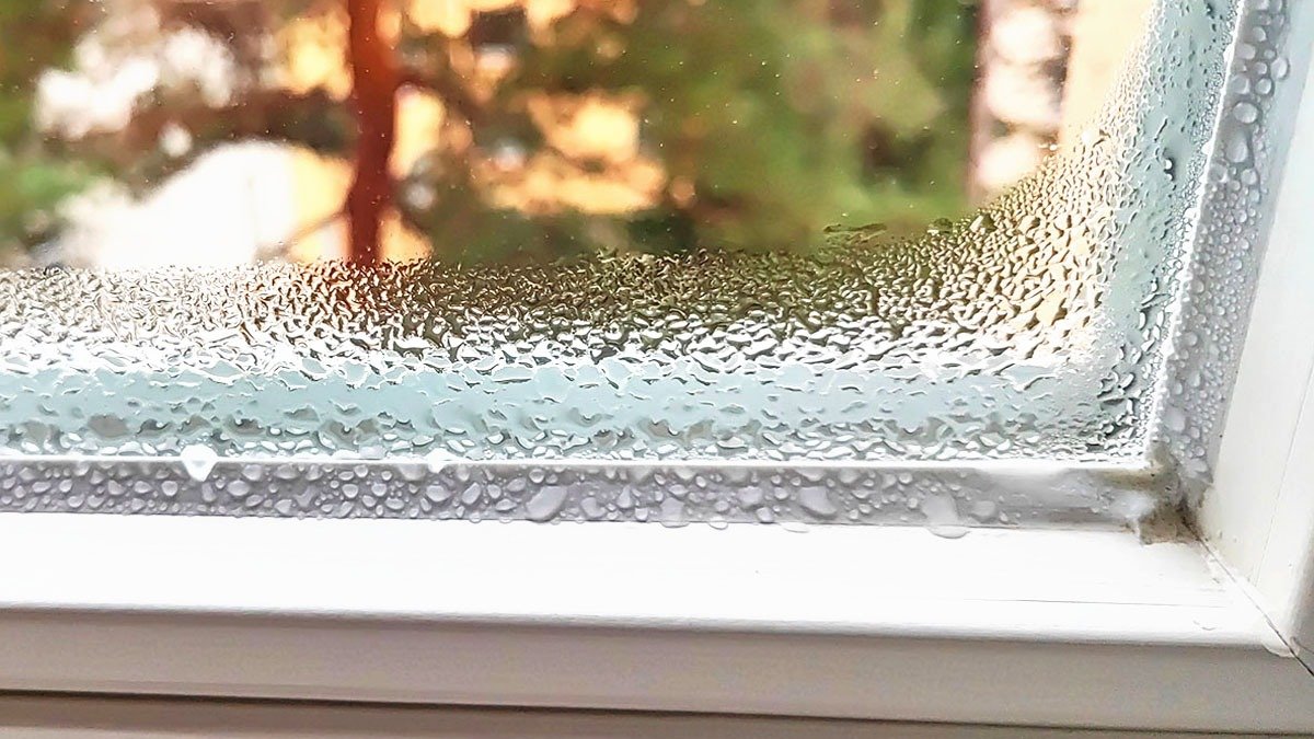 Nechte „tento předmět“ na okenním rámu doma a plíseň i kondenzace zmizí