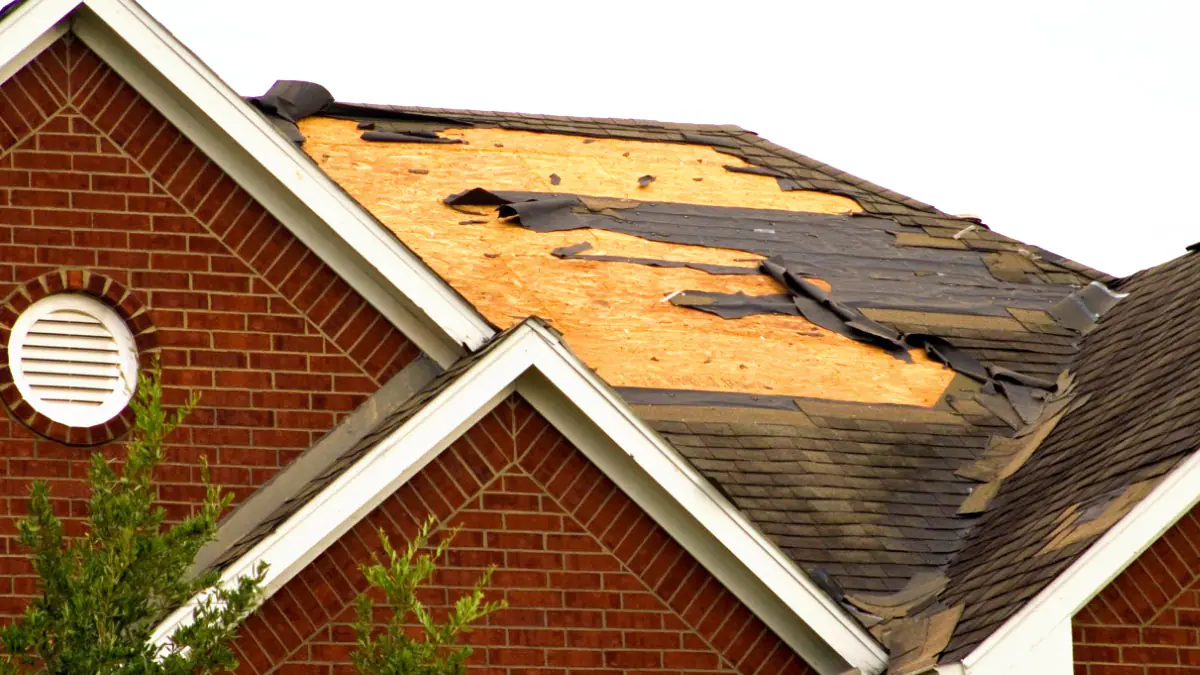 Střešní tašky jsou „cennější než zlato“ pro ty, kteří chtějí chránit své domovy