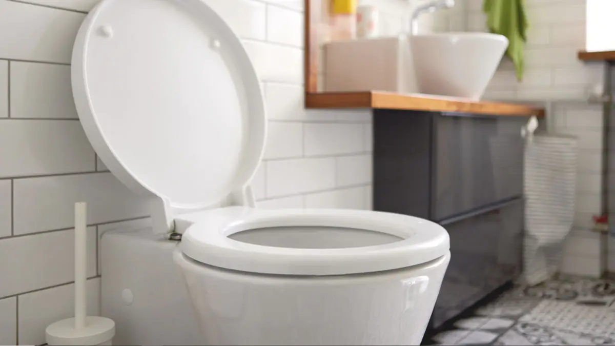 K čištění toalety už nepotřebujete chlor