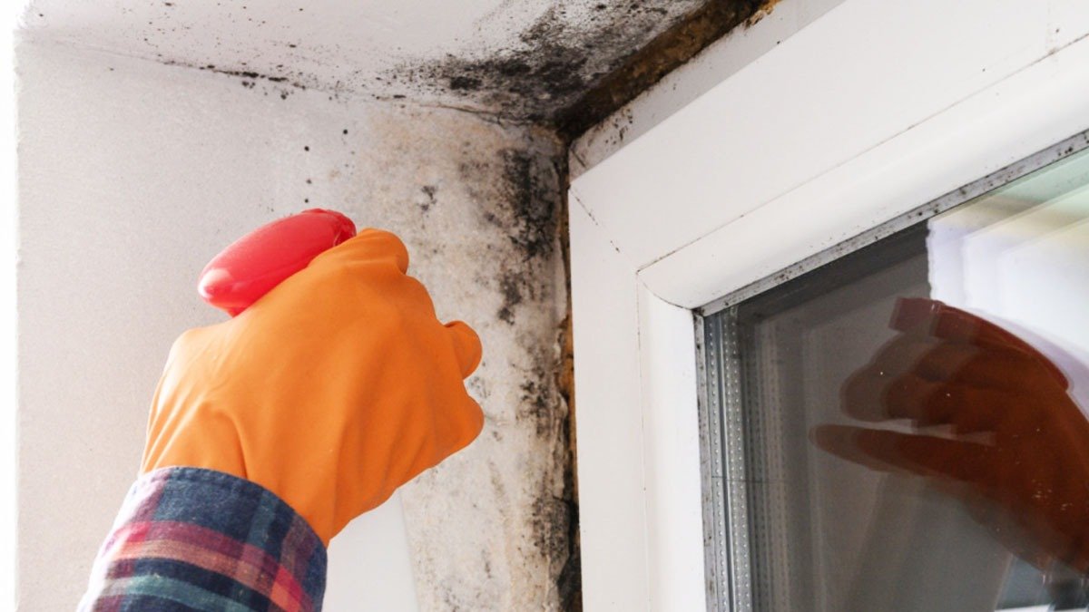„Nepotřebujete bělidlo“ stačí nalít tuto jednu kapku na zimní okenní rámy a černá plíseň zmizí