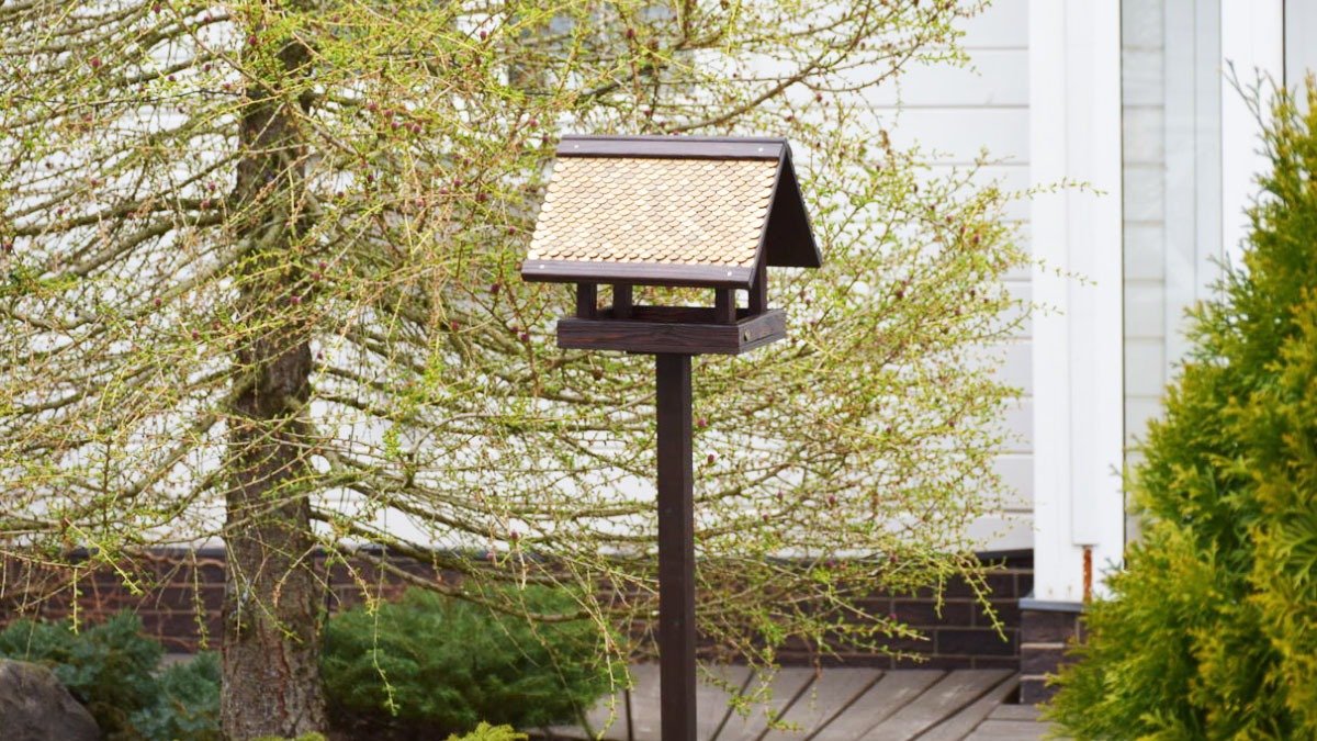 Proč odborníci doporučují dávat vazelínu do zahrady v únoru